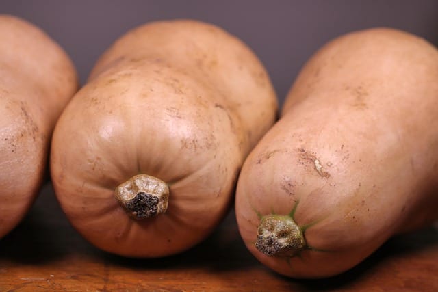 Butternut
